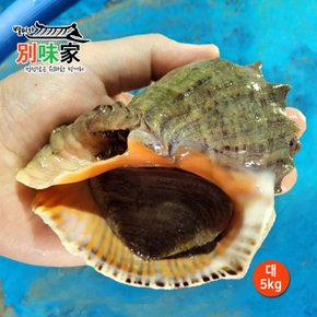 [별미가] 하얀돌 해녀가 직접 채취한 자연산 통영 참소라 대 5kg(30-35미)