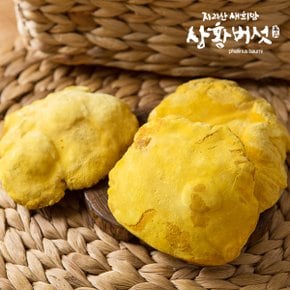 [지리산 새희망 상황버섯] 유기농 지리산 상황버섯 선물세트 250g (특품)