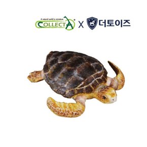 [컬렉타, COLLECTA] 바다거북, 해양동물 피규어