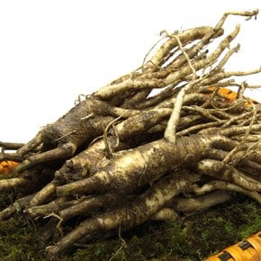 금산 울몸애 세척 약용도라지 (특상) 1.2kg