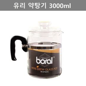 깔끔한 디자인 주방 가정용품 내열유리 약탕기 3000ml