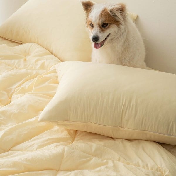 요아린 실키레스트 알러지케어 차렵이불 베개세트 Q