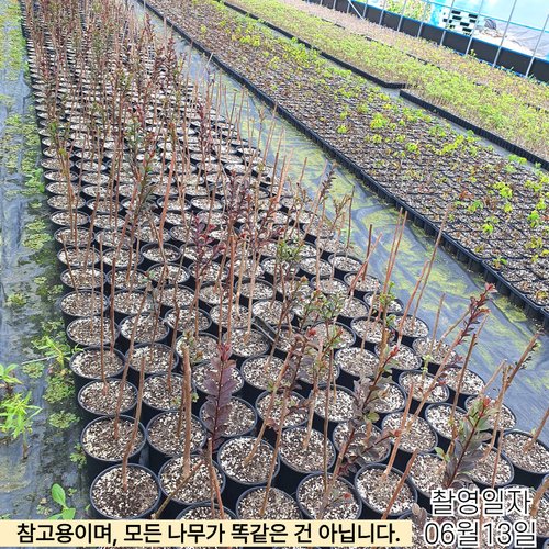 추가이미지3