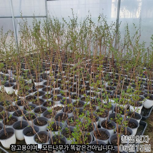 추가이미지5