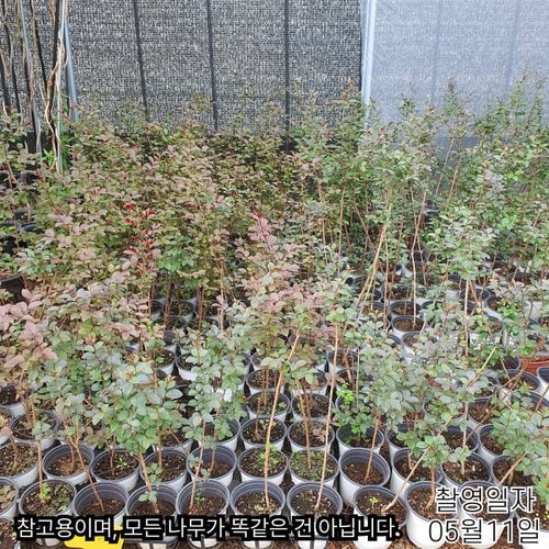 추가이미지7