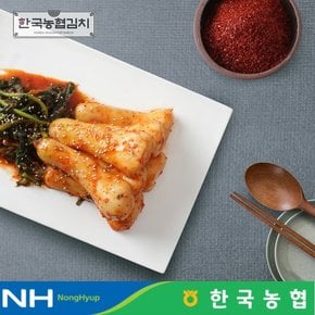 한국김치 전라도 순천 남도 총각김치 3kg