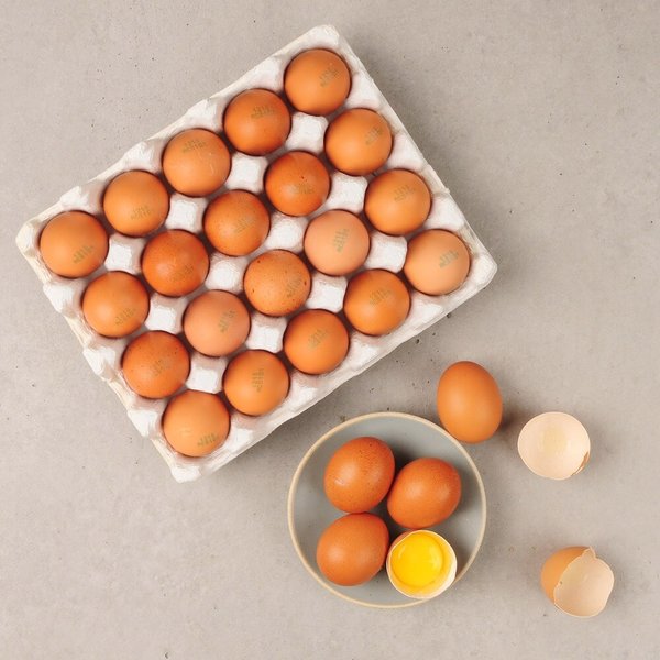 난각번호2번 명가일품 신선 유정란 대란 40구