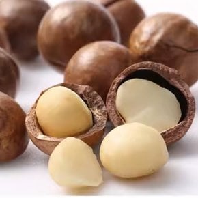 껍질 마카다미아 350g x 1개