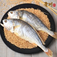 잘말린 부세보리굴비 특 5미/28~30cm/진공포장