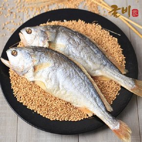 잘말린 부세보리굴비 특 5미/28~30cm/진공포장