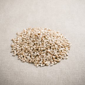 홍화자(홍화씨) 100g 수입 홍아씨 홍아자 차 기름 건조 말린 건 고소한맛 약초 약재