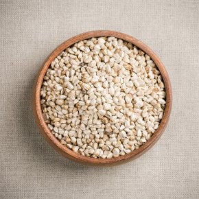 홍화자(홍화씨) 100g 수입 홍아씨 홍아자 차 기름 건조 말린 건 고소한맛 약초 약재
