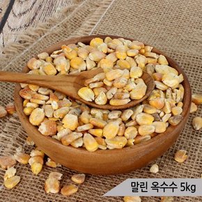 건강알곡 말린옥수수 5kg 앵무새 햄스터 간식 사료