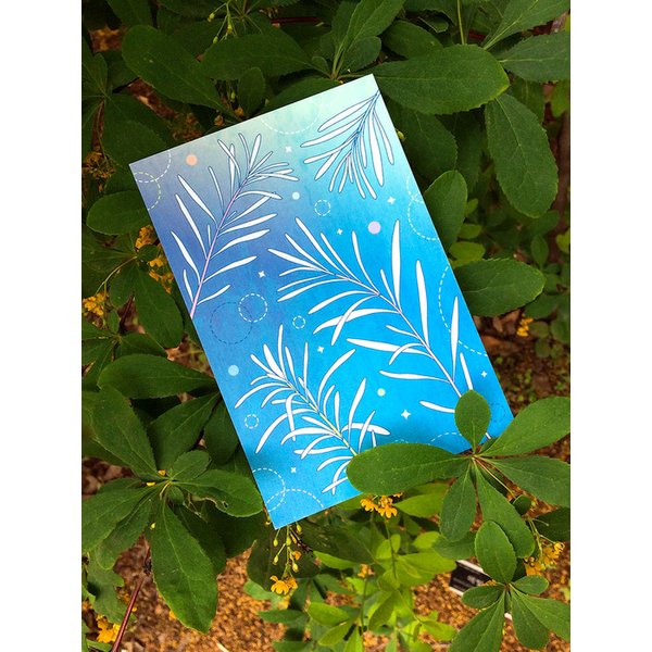 로즈메리 rosemary / 엽서 (postcard)