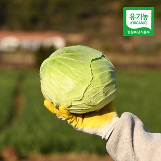 친환경팔도 제주 모슬포 유기농 양배추 3kg