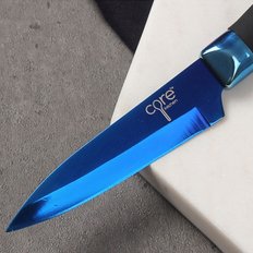 [코어홈] 티타늄코트 과도 20cm (블루)