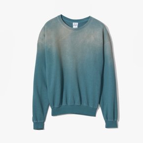 WILD DONKEY 와일드 동키 GUIDE SWEATSHIRT MINT WID2M60006A87