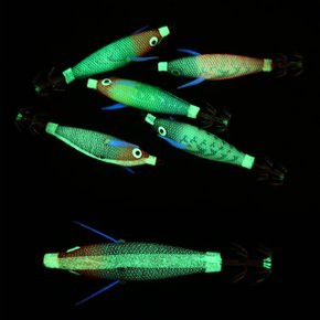 윤피싱 래틀 수평 꼬마 미니 에기 쪼꼬미 축광 갑오징어 쭈갑 쭈꾸미 두족류