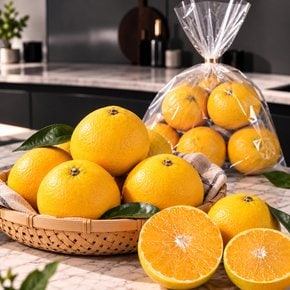 황금향 1.2kg(봉) 5~7입