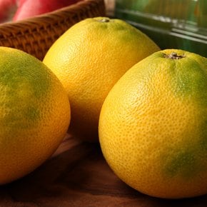 황금향 1.2kg(봉) 5~7입