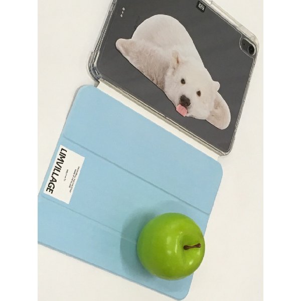 Polar Bear iPad case