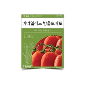 베하몰 텃밭 채소 씨앗 캬라멜레드 방울토마토