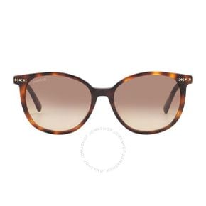 5037637 Swarovski Brown Gradient Oval Ladies Sunglasses