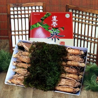 풍기인삼 5년근 수삼 1채 750g (20~25뿌리) / 쇼핑백 증정