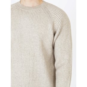 Hazzy Ribbed Raglan Knit (Beige)