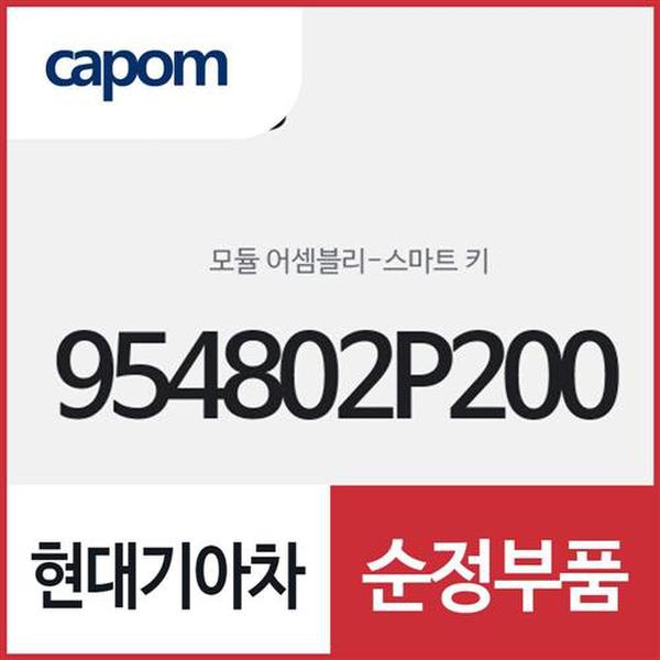 확대된 대표 스마트키 모듈 (954802P200) 쏘렌토