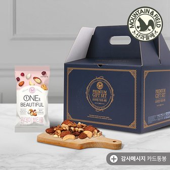 산과들에 하루견과 원데이뷰티풀 100입 선물세트 (20gx100봉)