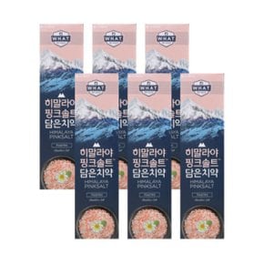 LG생활건강 히말라야 핑크솔트 담은치약 플로럴민트 100g 6개