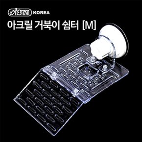 이스타 아크릴 거북이쉼터 M