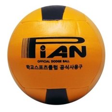 PIAN 피안피구공(초등) KDBF 학교스포츠클럽 공인구