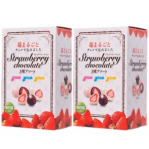  일본 코스트코 딸기가 통채로 들어간 초콜릿 여러가지맛 박스 410g 2개