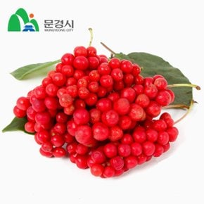 문경 오미자 5kg  2026년 생오미자 에약