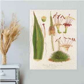 붙이는 꽃 식물 그림 벽/테이블 패브릭포스터 30x40 샤를앙투안르메르 250Picture