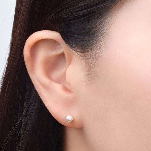 확대된 대표 image1