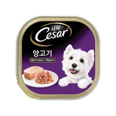 시저캔 양고기 100g 2개 애견간식 강아지캔