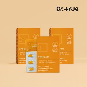 근력엔 강황 추출물 커큐민 수용성 나노 분말 30정, 3박스