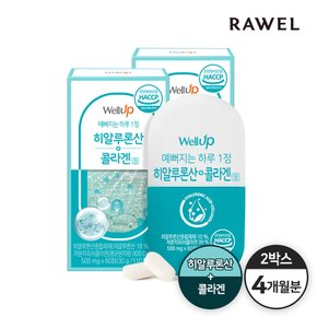 타블랩 히알루론산콜라겐정 (500mg x 60정) 2통