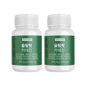 베네핏 슬림핏 카테킨 500mg 42정 x 2박스 4주분