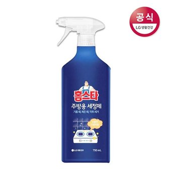 엘지생활건강 [내일도착] 홈스타 주방용 세정제 750ml