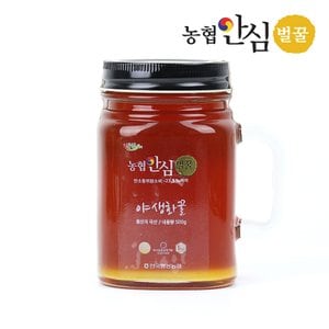 인정식탁 [농협안심벌꿀] 야생화 꿀 500g x 1병
