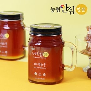 [9/10일(화) 오전8시 마감][바로배송][농협안심벌꿀] 야생화 꿀 500g x 1병