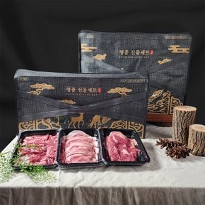 1++(9) 명품 한우 선물세트 실속세트 : 불고기(500g)+국거리(양지,설도,설깃 / 500g) 총1kg