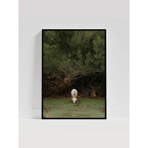 인테리어 사진 아트포스터 Madeira Forest 수플 A1 50x70 A2 사이즈