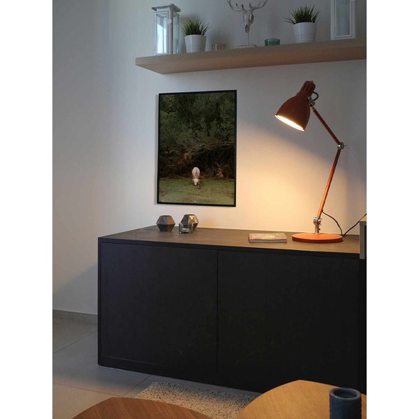 인테리어 사진 아트포스터 Madeira Forest 수플 A1 50x70 A2 사이즈