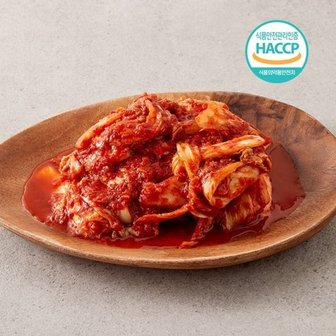 나이스파머스 국내산 당일제조 HACCP인증 매운실비 겉절이 1kg