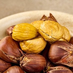 26년 공주 정안 대령 알밤 500g 특